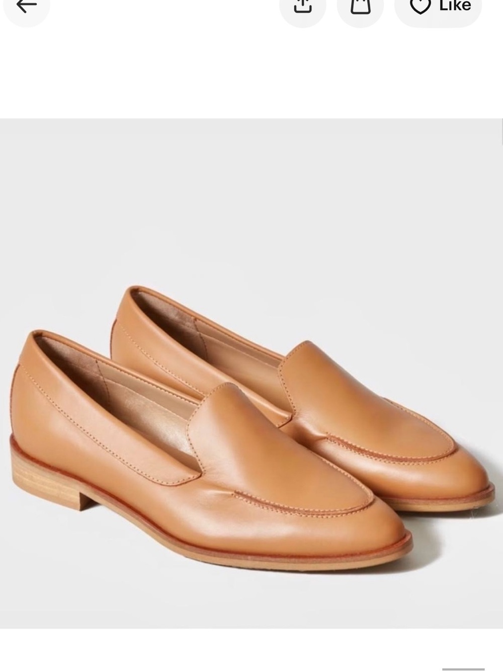 NEW Everlane The Modern Loafer Camel NWOB